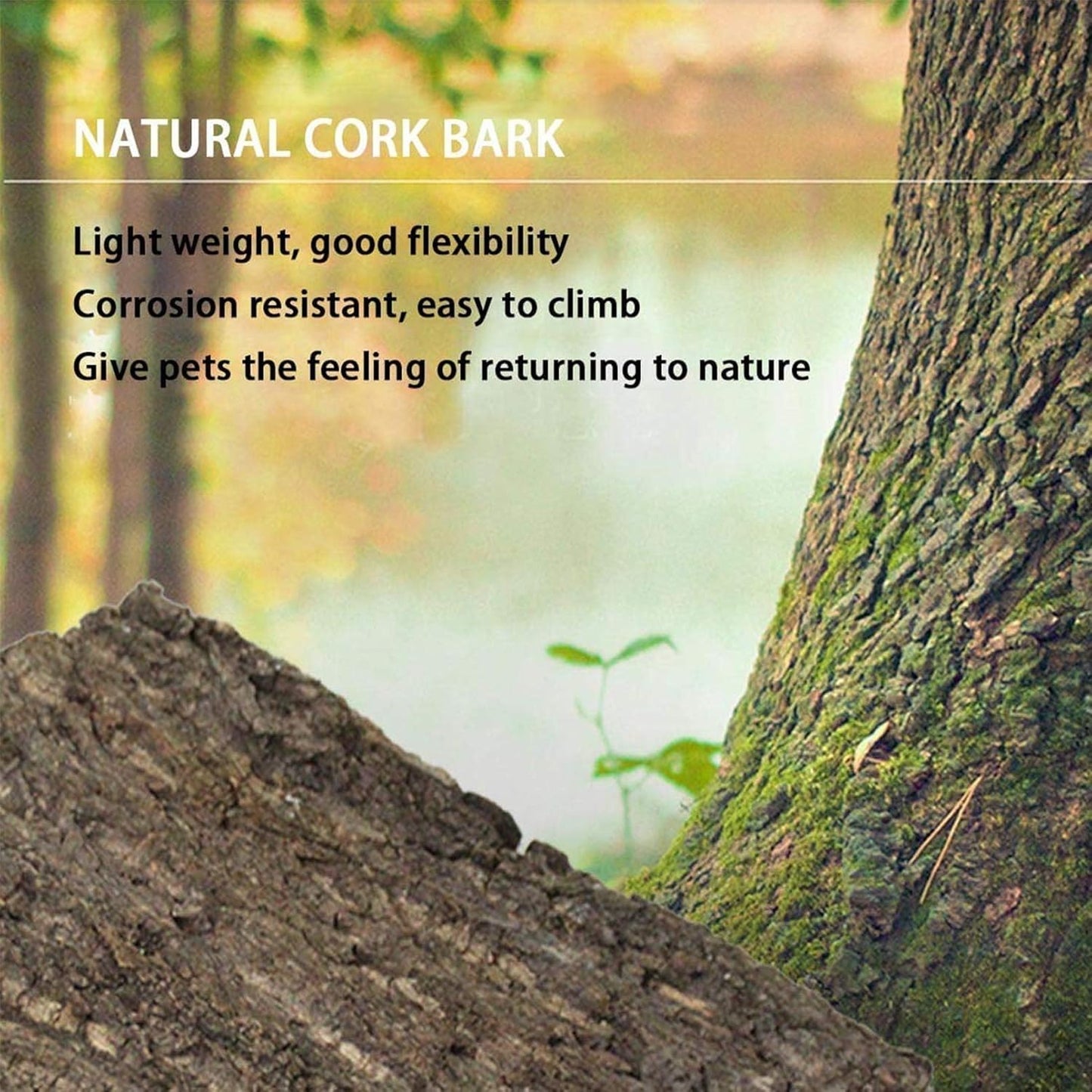 2PCS Cork Terrarium Background 15.7x11.8in Natural Cork Large Bark Backdrop Reptile Climbing Mat Habitat Decor for Spider Lizard Chamelon Turtle Beared Dragon