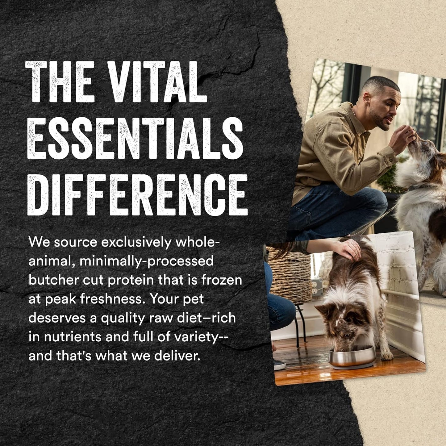 Vital Essentials Bully Sticks Dog Treats, 1.4 oz | Freeze-Dried Raw | Single Ingredient | Premium Quality High Protein Training Treats | Grain Free, Gluten Free, Filler Free