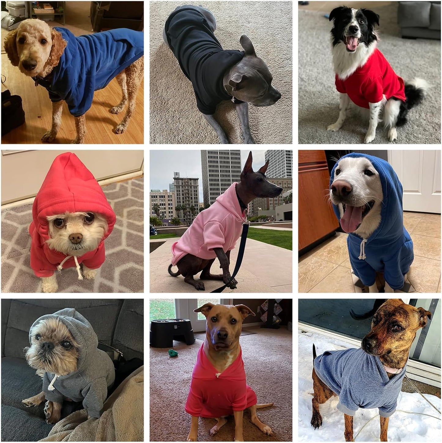 KOOLTAIL Basic Dog Hoodie - Soft and Warm Dog Hoodie Sweater with Leash Hole and Pocket, Dog Winter Coat, Cold Weather Clothes Sweatshirt for Small Medium Large Dogs Puppy Cat Boys Girls Blue L