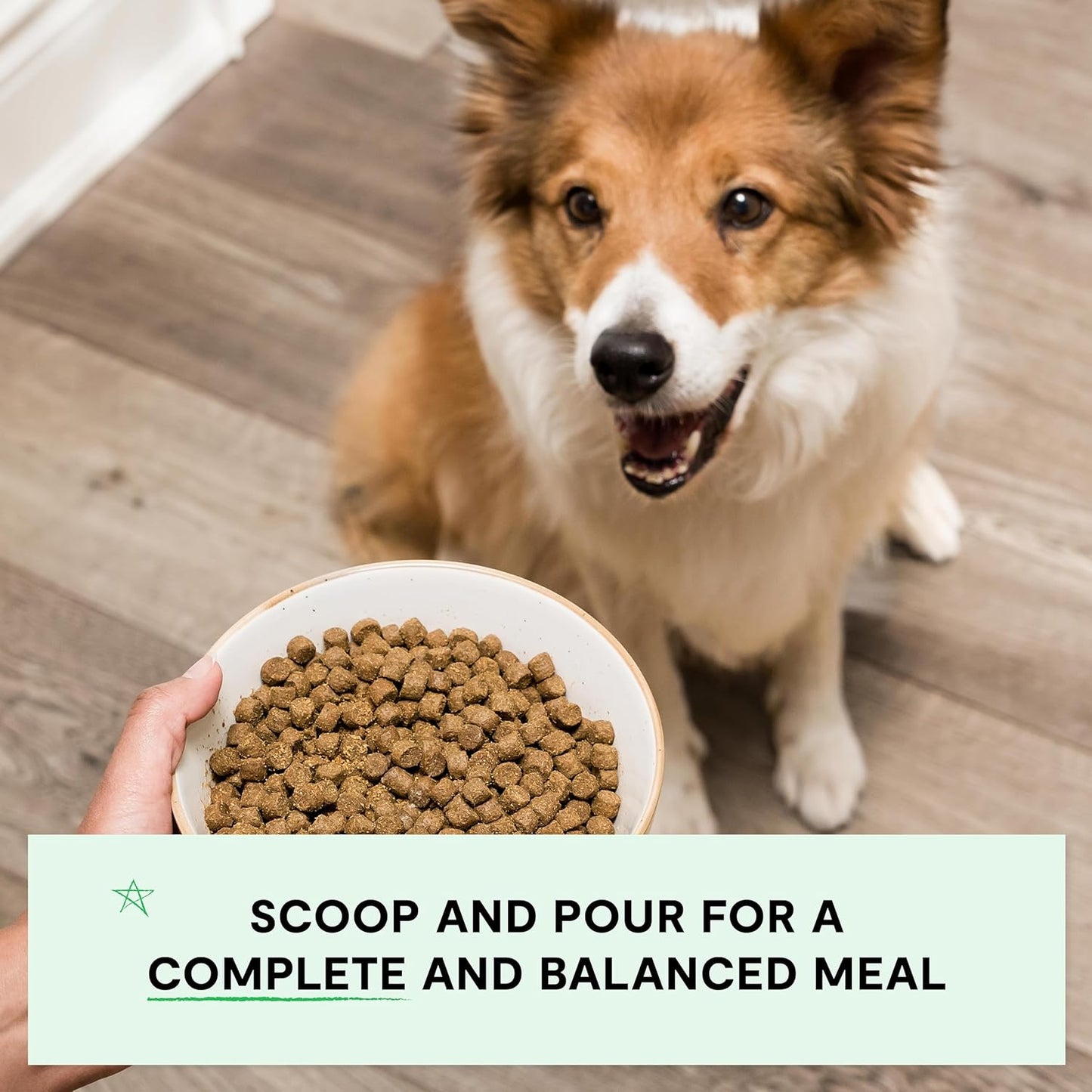 Open Farm, Grain-Free Dry Dog Food, Complete & Balanced Kibble, Sustainably & Ethically Sourced Ingredients, Non-GMO Veggies & Superfoods, Catch-of-The-Season Whitefish Recipe, 4lb Bag