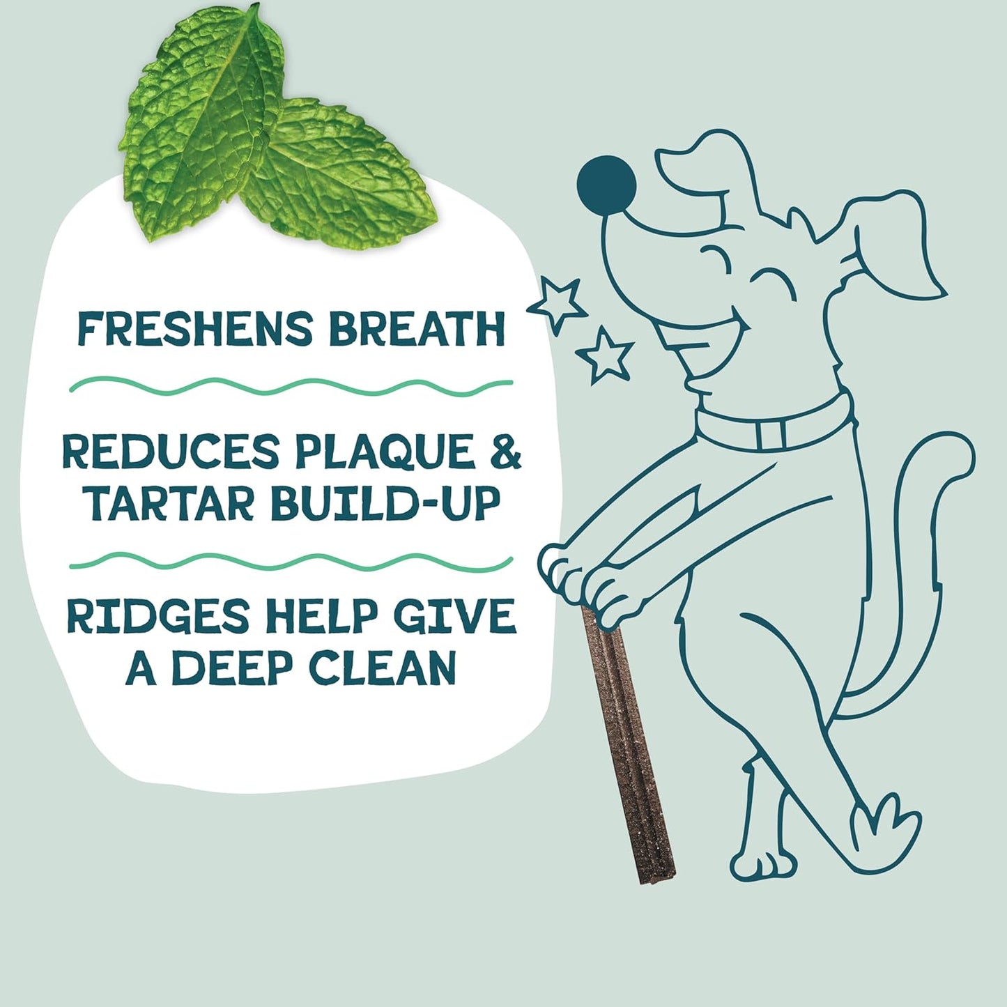Shameless Pets Dental Treats for Dogs, A Cluck A Day (32 Sticks) - Supports Digestion for Teeth Cleaning & Fresh Breath - Dog Bones Dental Chews Free from Grain, Corn & Soy