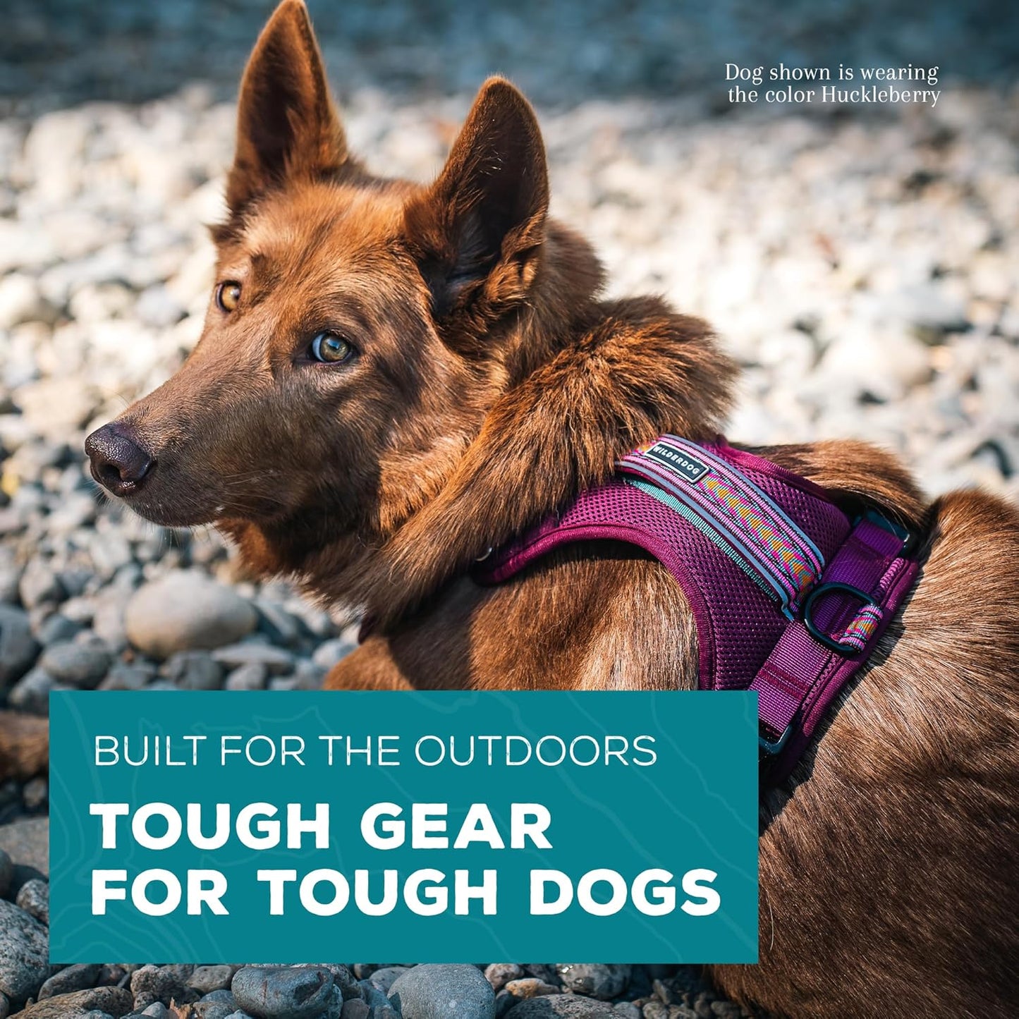 Wilderdog Lightweight Dog Harness with Reflective Straps - Medium - Huckleberry