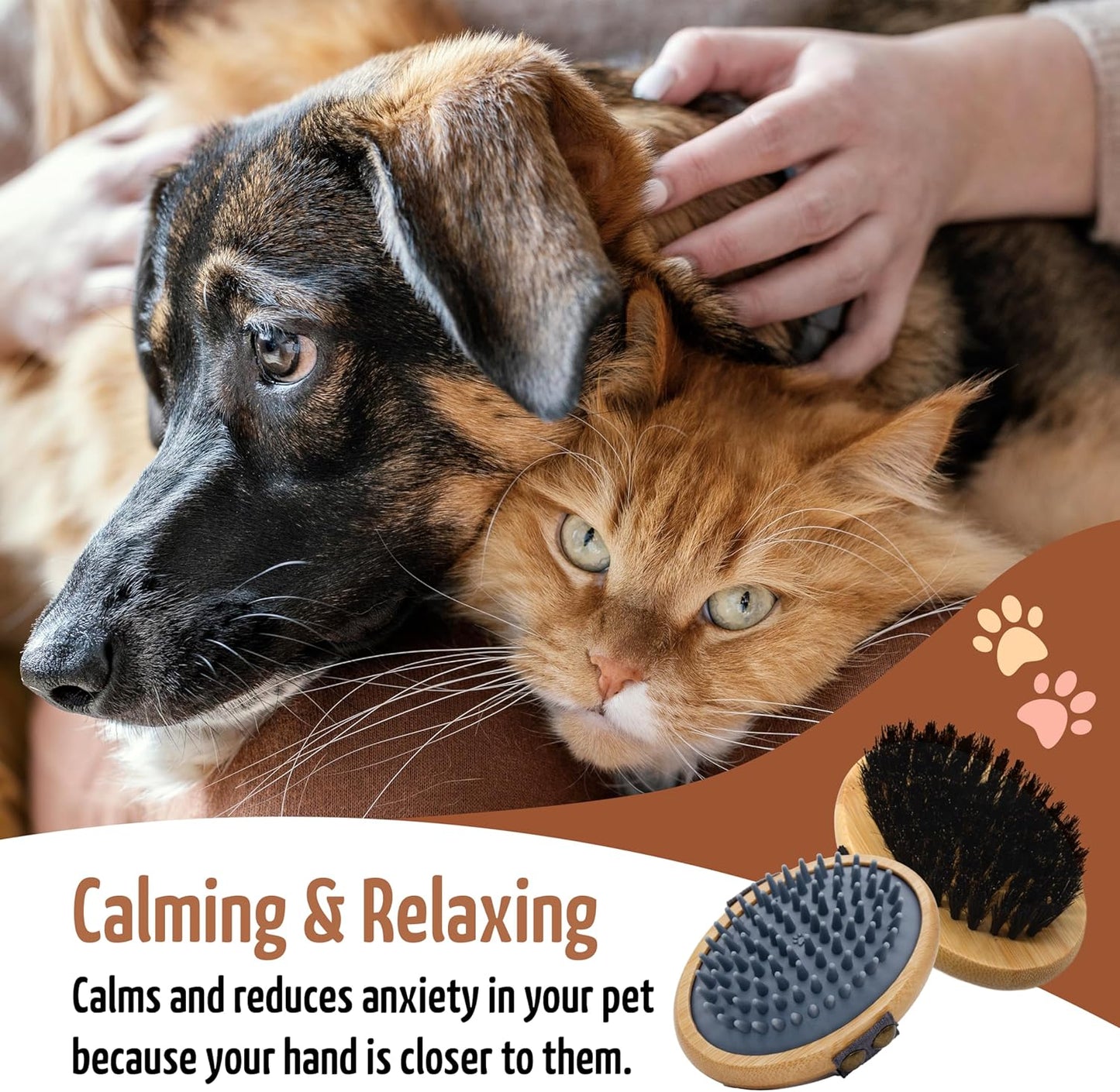 The Buddy System Pet Close Brush, Soft Touch Oval Palm Brush - Bamboo Massage Handheld with Soft Boar Bristles and Elastic Band for Dogs and Cats (2-pack, 1 Brush + 1 Rubber)