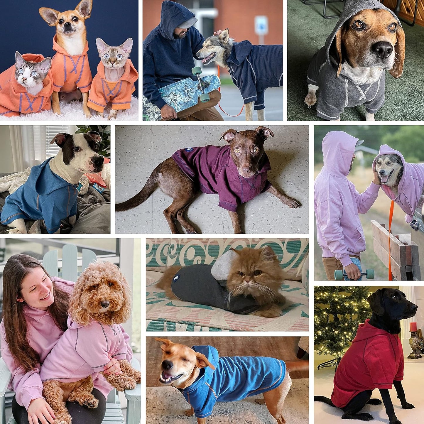 Blueberry Pet Essentials Dog Hoodie – 10 inch, Cotton‑Blend Sweatshirt with Hood, Pink Lilac, Machine‑Washable Small‑Dog Jersey