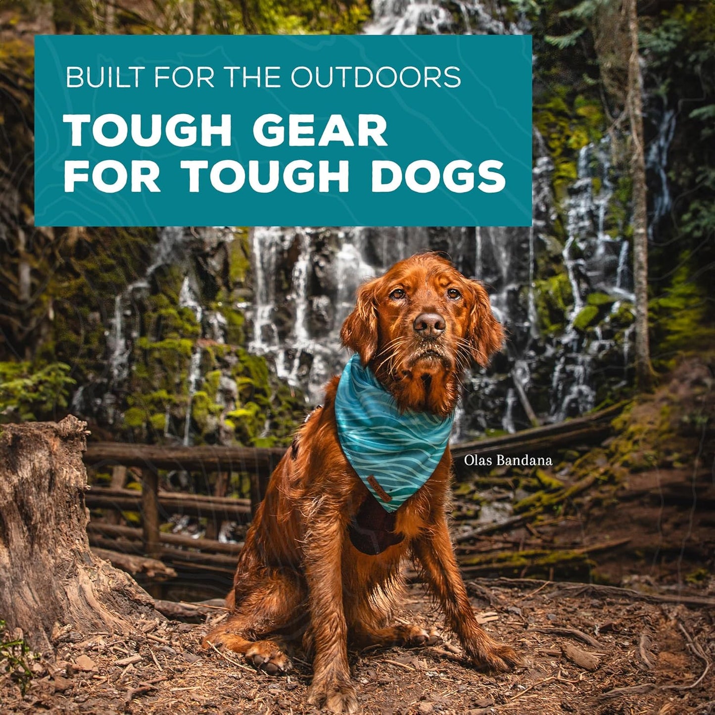 Wilderdog Dog Bandana with Lightweight Quick Drying Poly-Blend Mesh Material in Cowpoke