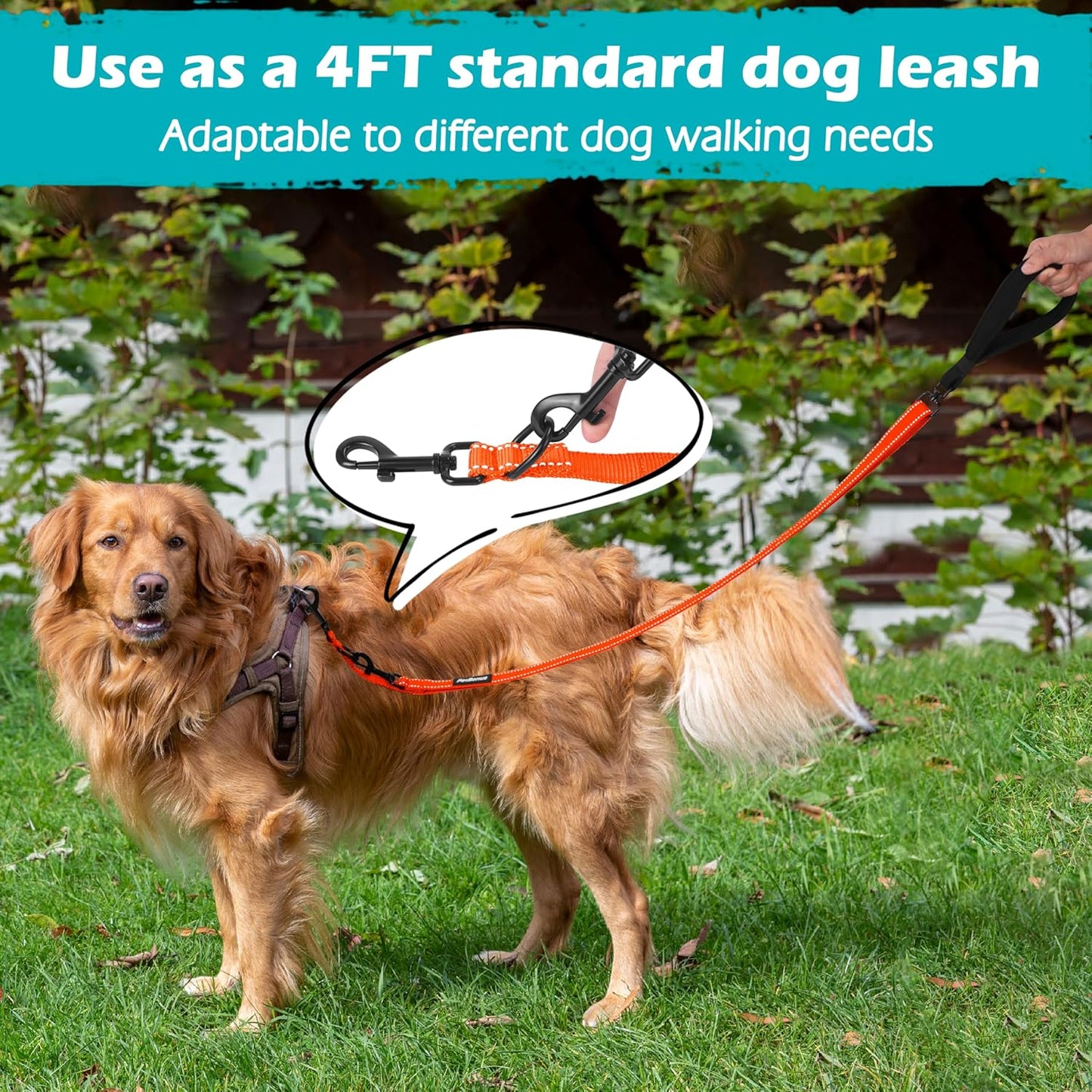 PetBonus Two Point Control Dog Leash, Works with No Pull Harnesses, No Tangle Training Leashes, Soft Padded and Reflective Walking Lead, Converts to Single Lead for Medium Large Dogs (Orange)