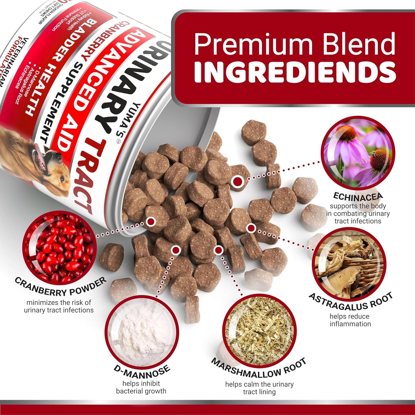 Dog UTI Treatment - 170 Treats - Cranberry Supplement for Dogs - Bladder Control - Urinary Tract Infection Treatment - UTI Medicine Multivitamin - Vitamins and Supplements - Made in USA