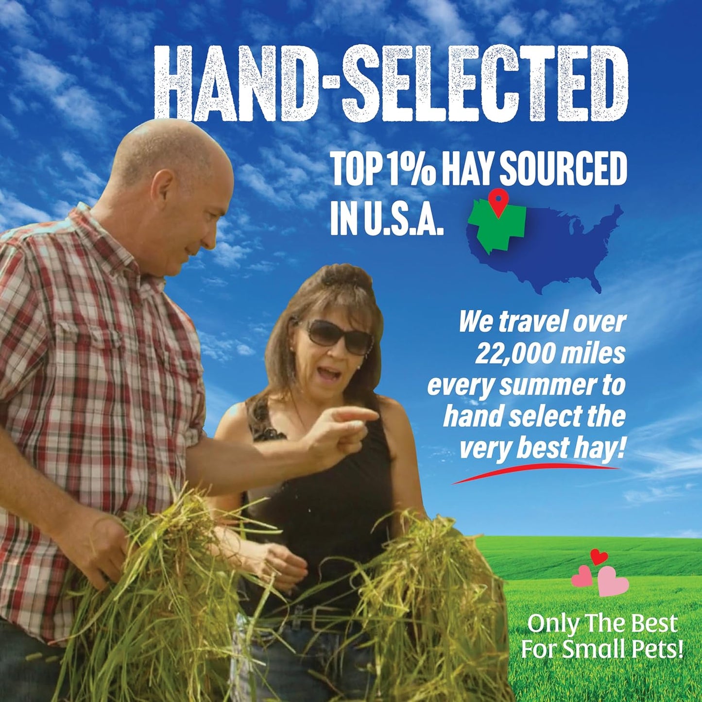 Small Pet Select Oat Hay Pet Food, 5 Lb.
