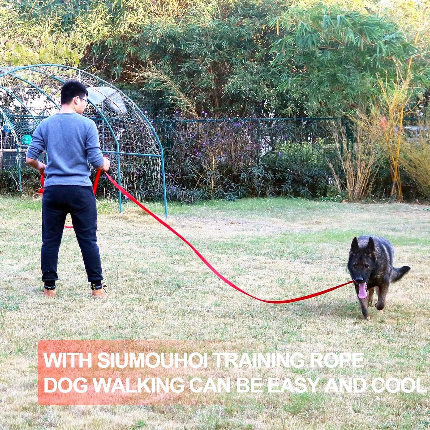 Siumouhoi Dog/Puppy Obedience Recall Training Agility Lead - 15ft 20ft 30ft 40ft 50ft Training Leash - Great for Play, Camping, or Backyard - Orange 50ft