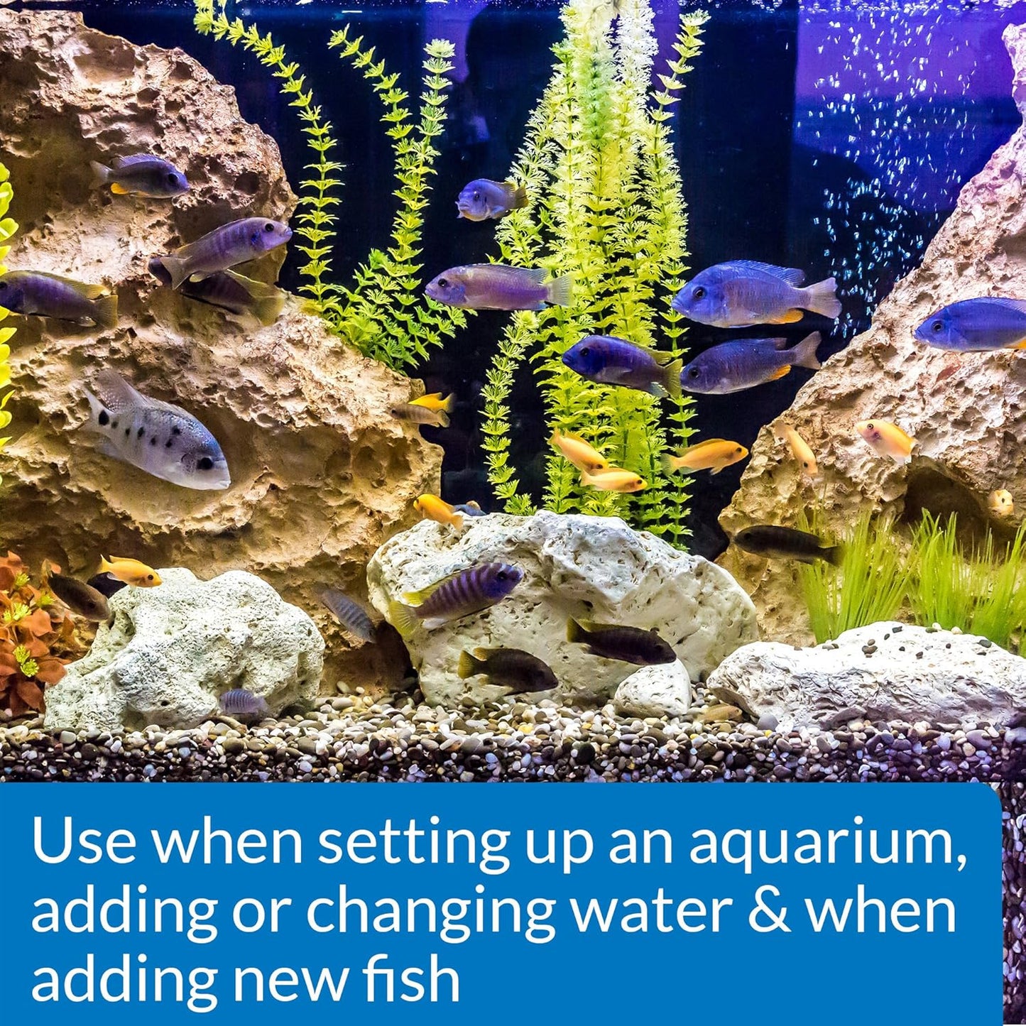 API STRESS COAT Aquarium Water Conditioner 1-Gallon Bottle, Model Number: 317163100851